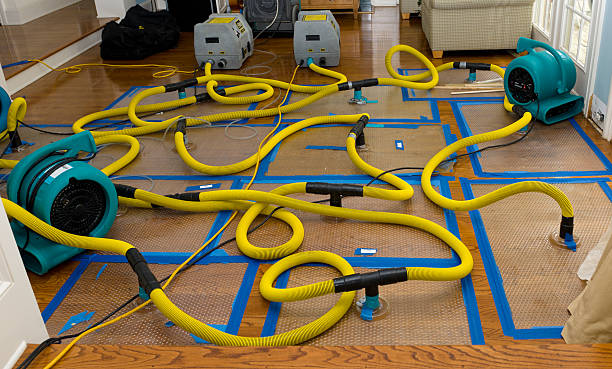 Professional Water Damage Restoration technician working in Westford, MA